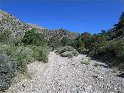 Virgin Peak Road