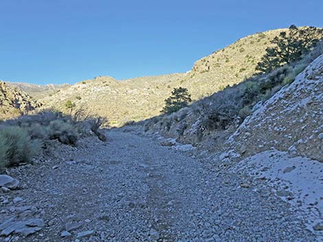 Virgin Peak Road