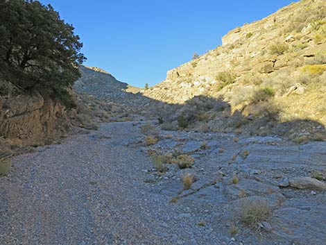 Virgin Peak Road