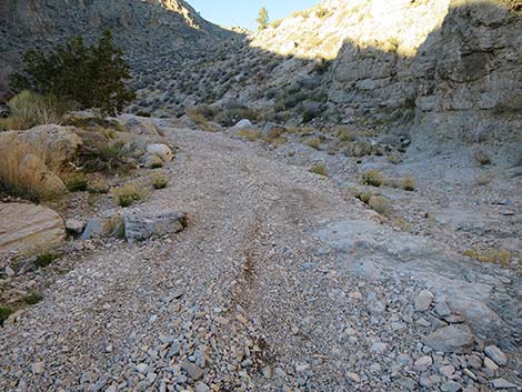 Virgin Peak Road