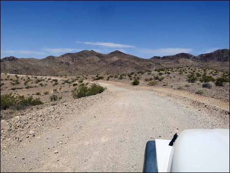 Virgin River Landing Road