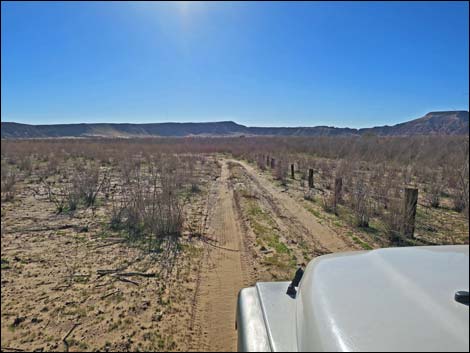 Virgin River Landing Road