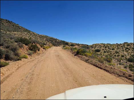 Whitney Pass Road