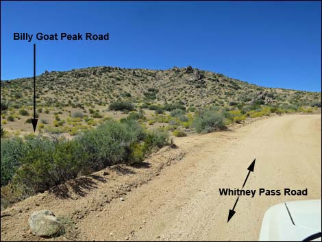 Whitney Pass Road