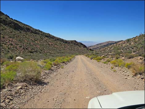 Whitney Pass Road