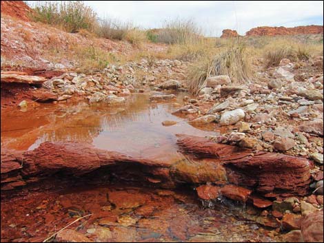 Red Rock Springs