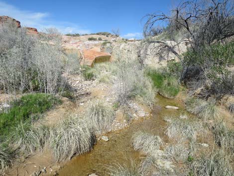 Red Rock Springs