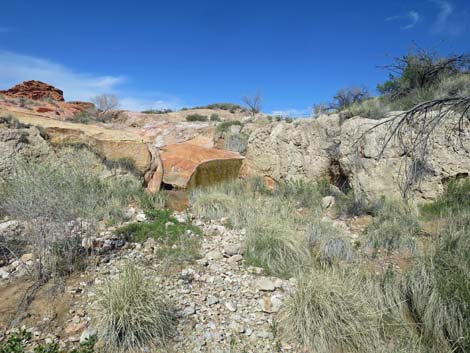 Red Rock Springs