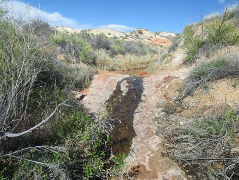 Red Rock Springs