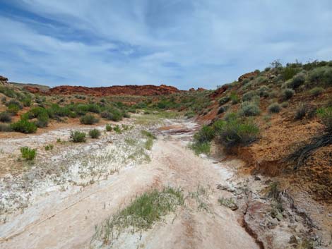 Red Rock Springs