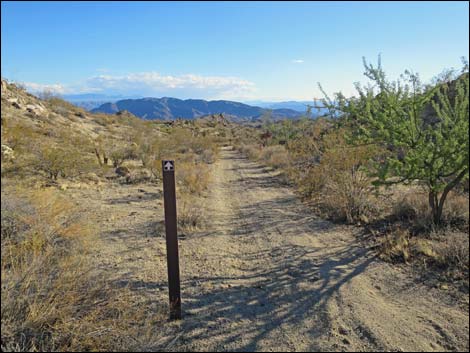 Scanlon Dugway