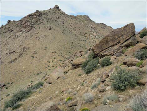 Shark Tooth Peak