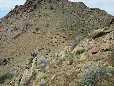 Shark Tooth Peak