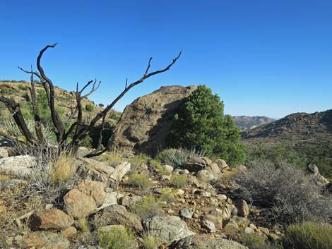 Shark Tooth Peak