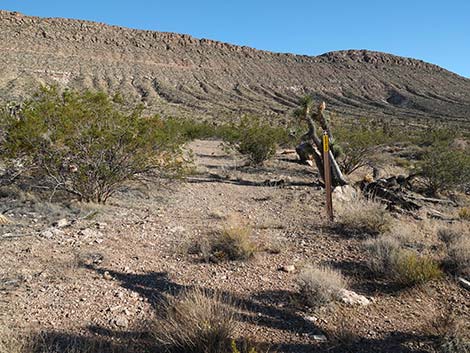 Uranium Mine