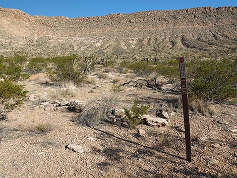 Uranium Mine