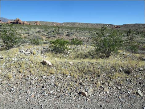 Whitney Pocket Overlook Trail