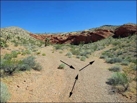 Whitney Pocket Overlook Trail