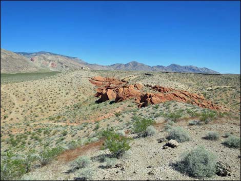 Whitney Pocket Overlook Trail