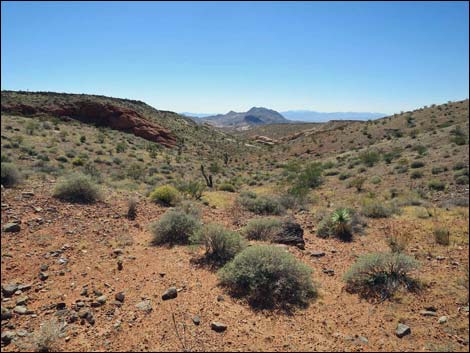 Whitney Pocket Overlook Trail