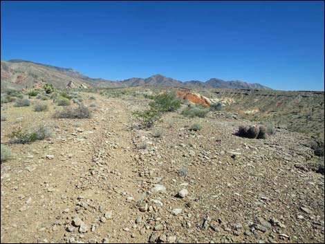 Whitney Pocket Overlook Trail