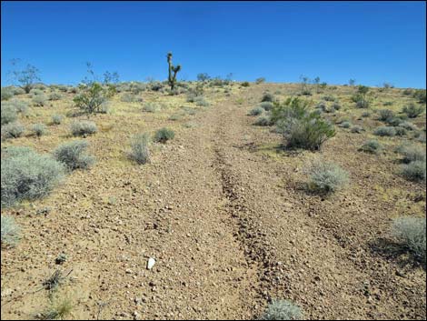 Whitney Pocket Overlook Trail