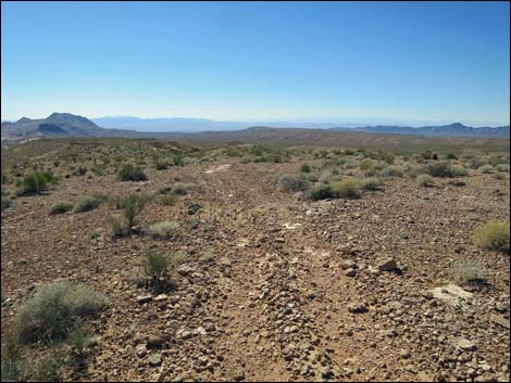 Whitney Pocket Overlook Trail