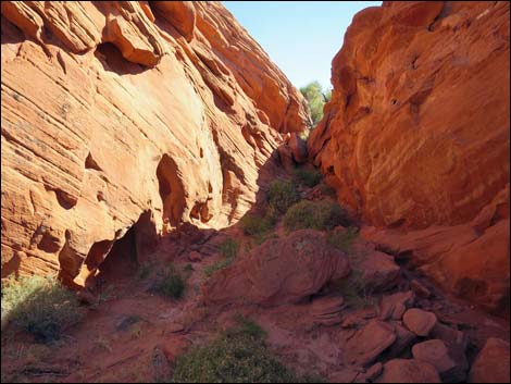 Whitney Pocket Overlook Trail