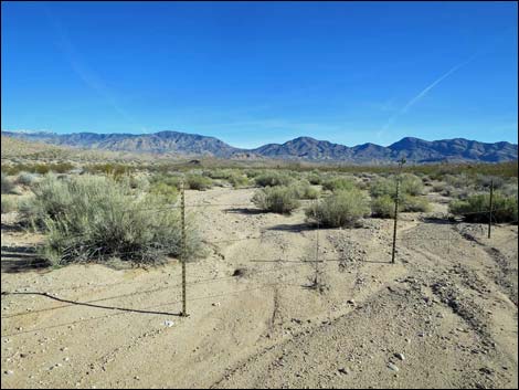 Wechech Basin Loop