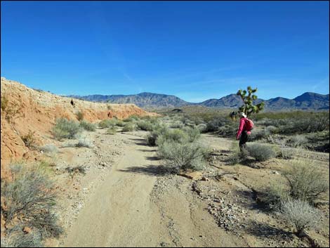 Wechech Basin Loop