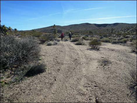 Wechech Basin Loop