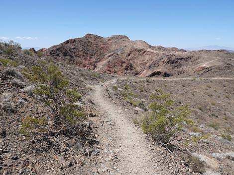 Black Mountain Overlook Trail