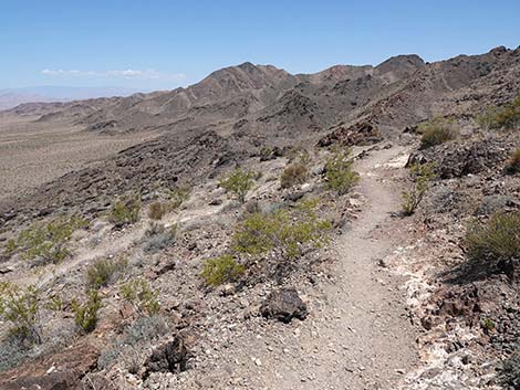 Black Mountain Overlook Trail