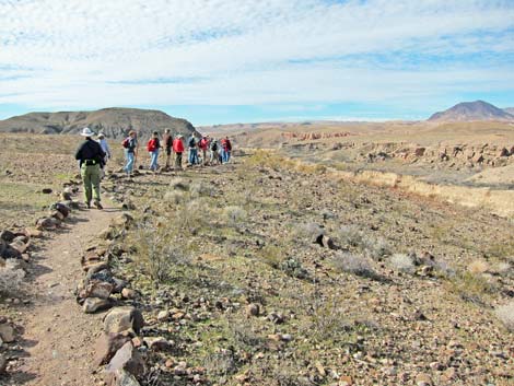 Bluff Trail