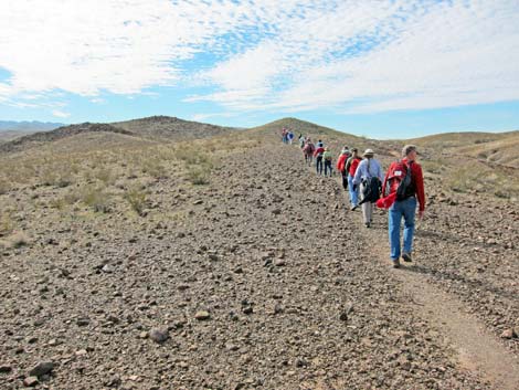 Bluff Trail