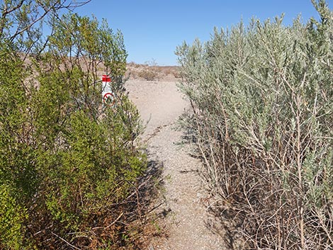 bluff trail