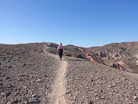 bluff trail