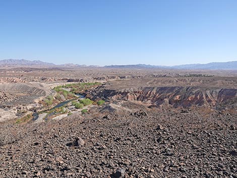 bluff trail