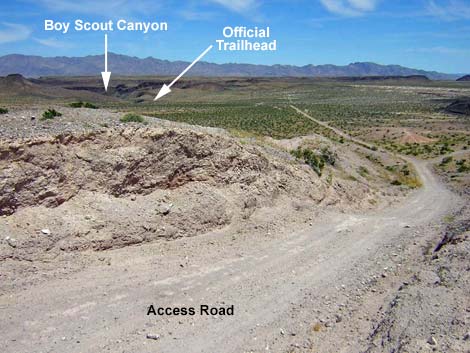 Boy Scout Canyon Road