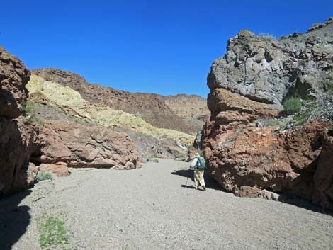 Boy Scout Canyon