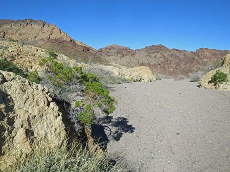 Boy Scout Canyon