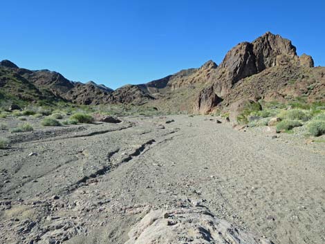 Boy Scout Canyon