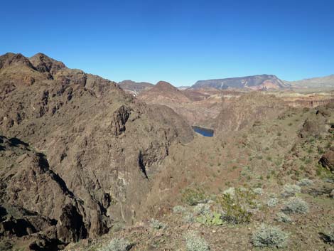 Colorado River Overlook