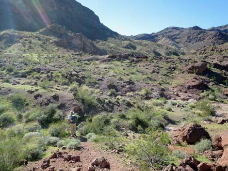 Colorado River Overlook