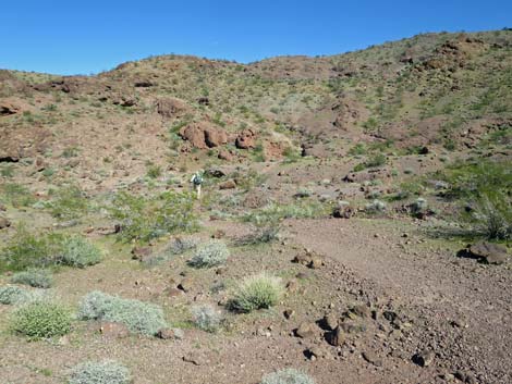 Colorado River Overlook