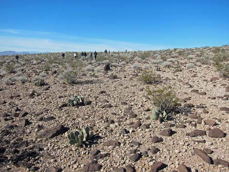 Callville Ridge Route