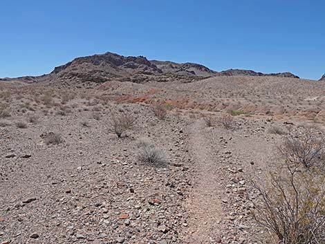 Cottonwood Spring