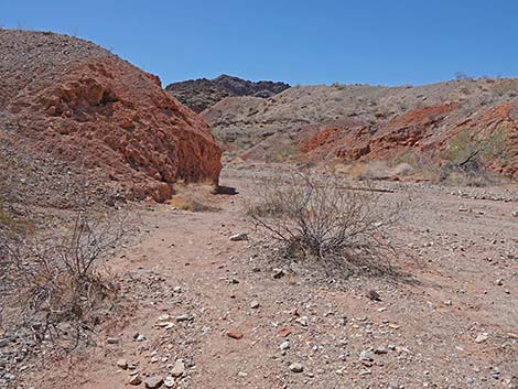 Cottonwood Spring