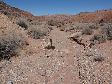 Cottonwood Spring