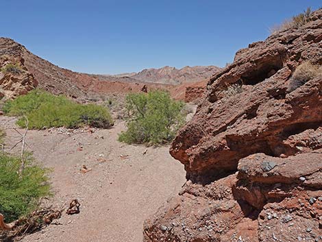 Cottonwood Wash